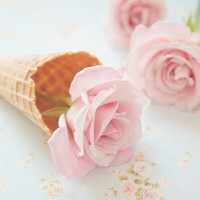 Pink flowers in an ice cream cone